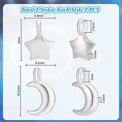 4Pcs 2 Styles 925 Sterling Silver Charms STER-PH0003-45-1