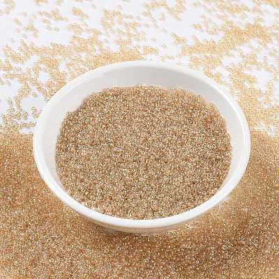 MIYUKI Round Rocailles Beads X-SEED-G009-RR0161-1