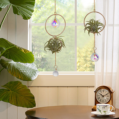 2Pcs Iron Plant Hanger HJEW-OC00169-1