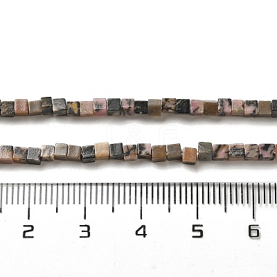 Natural Rhodonite Beads Strands G-B064-A31-1
