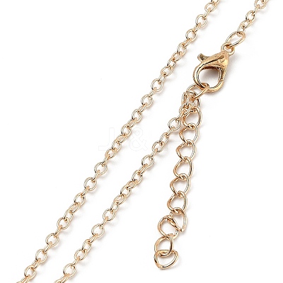 Alloy Resin Pendant Necklaces NJEW-B0003-02LG-1