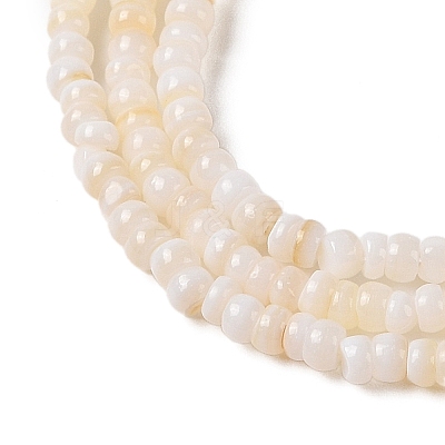 Natural Freshwater Shell Beads Strands SHEL-P017-01B-02-1