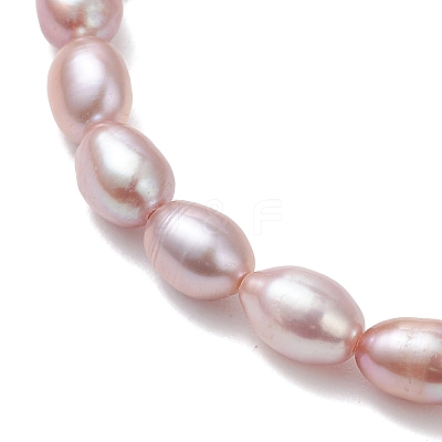 Natural Cultured Freshwater Pearl Beads Stretch Bracelets for Women BJEW-JB13210-02-1