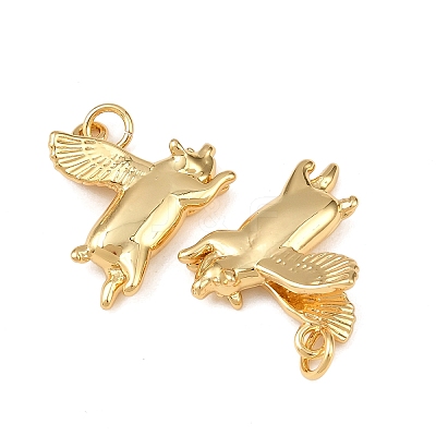 Brass Pendants KK-L255-20G-01-1