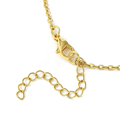Crystal Cage Holder Necklace NJEW-JN04603-02-1