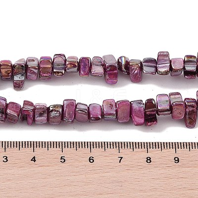 Natural Freshwater Shell Beads Strands BSHE-H018-07F-1