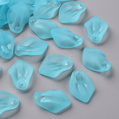 Transparent Frosted Acrylic Pendants MACR-S371-03A-755-1
