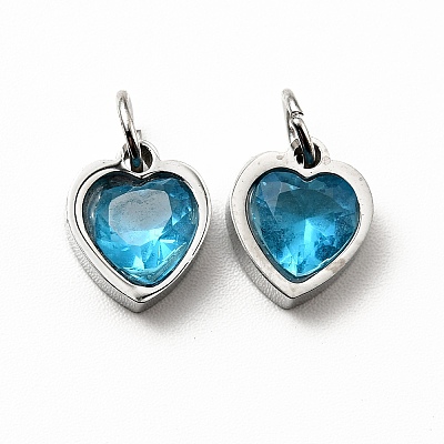 304 Stainless Steel Pendants STAS-D189-06P-08-1