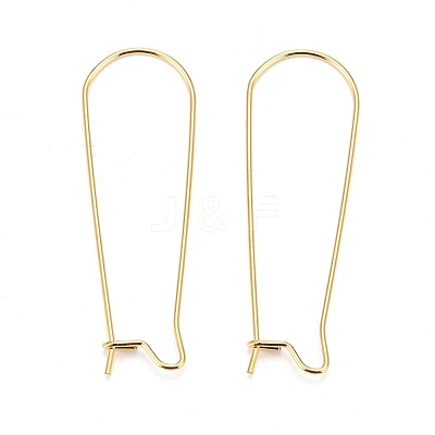 316 Surgical Stainless Steel Hoop Earring Findings STAS-A056-12G-D-1