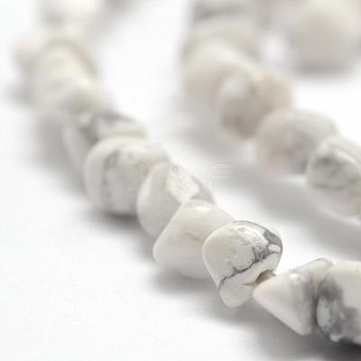 Natural Howlite Beads Strands G-F465-05-1