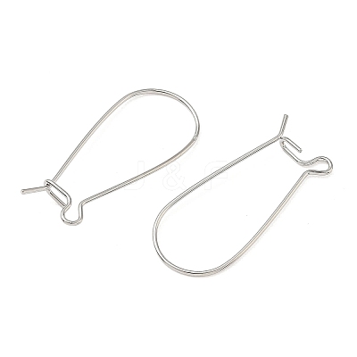 SHEGRACE Brass Kidney Ear Wire XGR0004P-43P-1