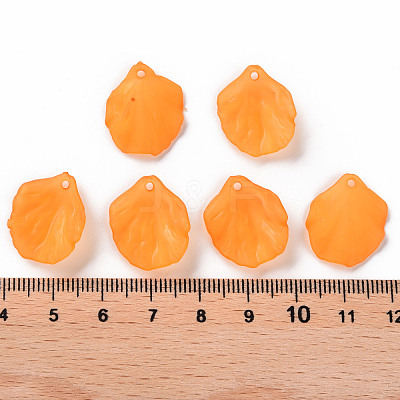 Transparent Frosted Acrylic Pendants MACR-S371-01A-724-1