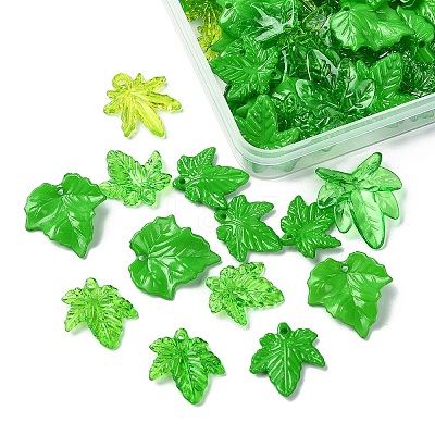 253Pcs 100G Transparent Acrylic Pendants TACR-YW0002-17-1