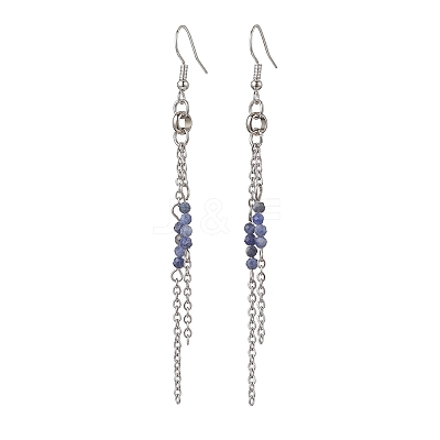 Round 304 Stainless Steel Natural Sodalite Dangle Earrings EJEW-JE06783-02-1