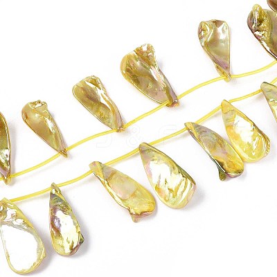 AB Color Plated Dyed Natural Freshwater Shell Beads Strands SHEL-T020-55D-1