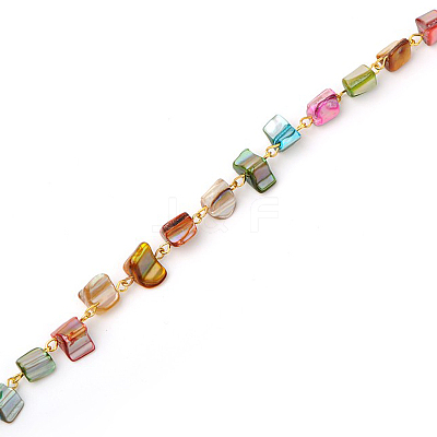 Handmade Sea Shell Beads Chains for Necklaces Bracelets Making AJEW-JB00067-07-1