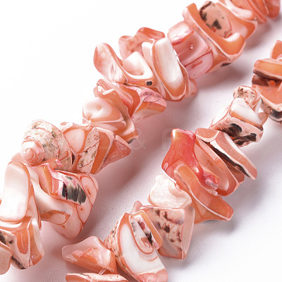 Natural Trochid Shell/Trochus Shell Bead Strands SSHEL-N034-105-A02-1