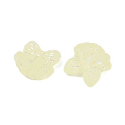 Frosted Transparent Acrylic Beads OACR-P029-18B-03-1