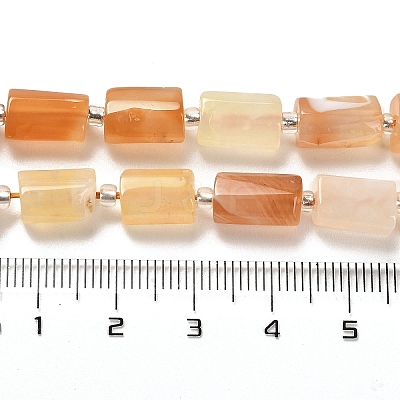 Natural Orange Botswana Agate Beads Strands G-N327-06-31-1