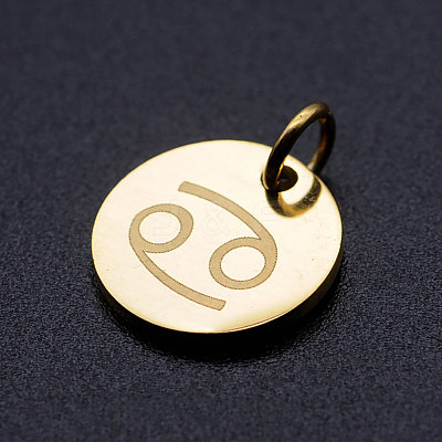 201 Stainless Steel Charms STAS-T049-T644-4G-1