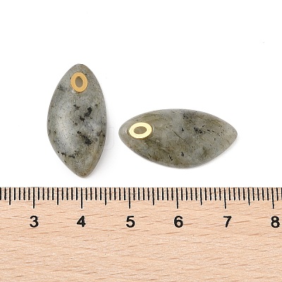 Natural Labradorite Pendants STAS-P380-80G-03-1
