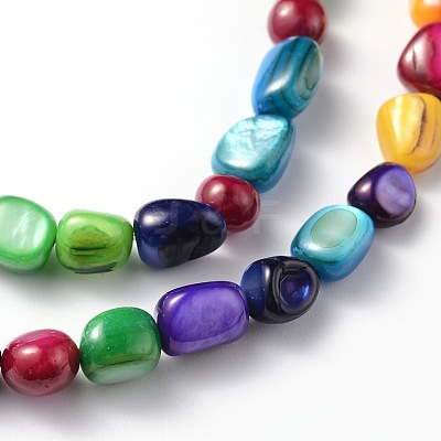 Natural Shell Beads Strands BSHE-D004-7-1
