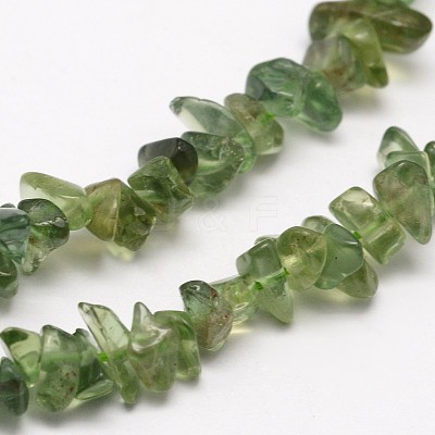 Chips Natural Green Apatite Beads Strands X-G-N0164-26-1