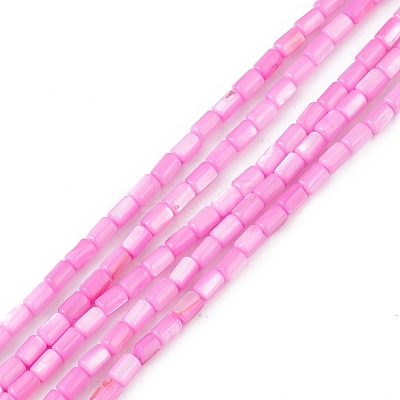 Natural Freshwater Shell Dyed Beads Strands SHEL-M018-12-10-1