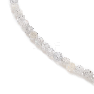 Natural Labradorite Round Beads Bracelets BJEW-JB09390-03-1