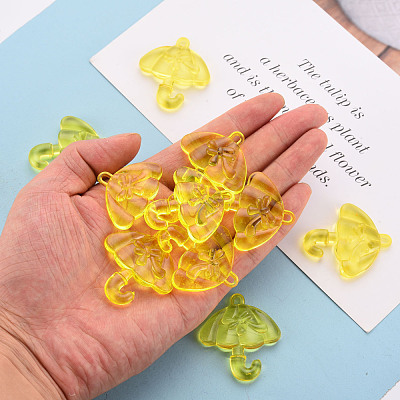 Transparent Acrylic Pendants TACR-T024-01B-916-1