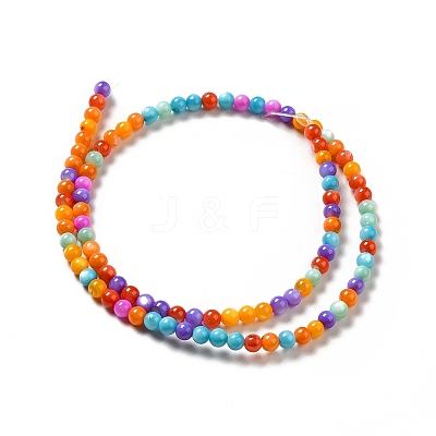 Dyed Natural Freshwater Shell Beads Strands SHEL-G014-05C-04-1