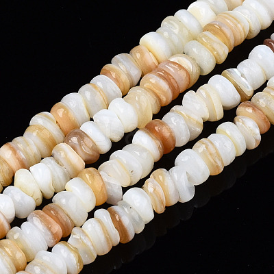 Natural Freshwater Shell Beads Strands SHEL-S278-067-1