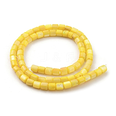 Natural Freshwater Shell Beads Strands SHEL-F008-04E-1