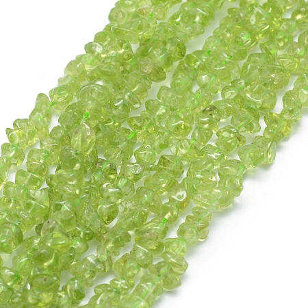 Natural Peridot Beads Strands G-P332-66-1