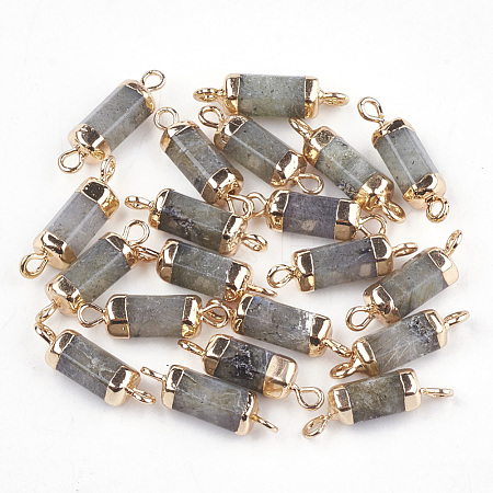 Electroplate Natural Labradorite Links connectors G-S344-01E-1