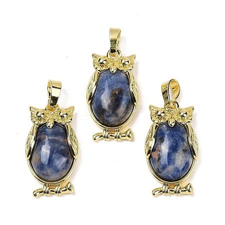 Natural Sodalite Pendant KK-F887-02G-20-1