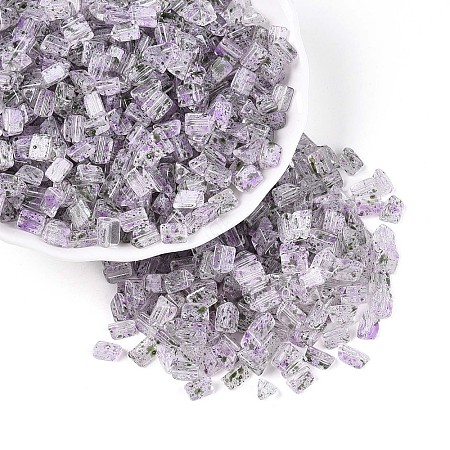 Transparent Spray Painted Glass Seed Beads SEED-L011-10A-20-1