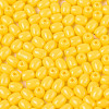 Baking Paint Glass Seed Beads SEED-N007-29F-3