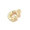 Brass Charms KK-P340-01G-G-2