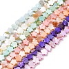 Natural Freshwater Shell Beads Strands SHEL-H002-03-1