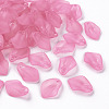 Transparent Frosted Acrylic Pendants LS-MACR-S371-03A-704-1