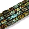 Natural African Turquoise(Jasper) Beads Strands G-G980-33B-1