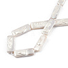 Plating Natural Freshwater Shell Beads Strands SHEL-N026-231-4