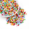 Baking Paint Glass Seed Beads SEED-N007-02C-1