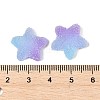 Imitation Candy Food Style Resin Cabochons RESI-R461-02N-3