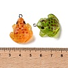 Luminous Transparent Resin Pendants X-RESI-F077-01P-4
