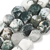 Natural Tree Agate Beads Strands GG-CBAF8A8-A04-01-2