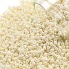 TOHO Round Seed Beads SEED-JPTR11-0123L-1