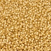 MIYUKI Delica Beads SEED-X0054-DB2186-3