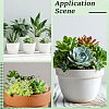 PVC Artificial Succulent Plant AJEW-SP0004-35C-7